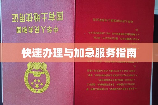 都安快速办理与加急服务指南