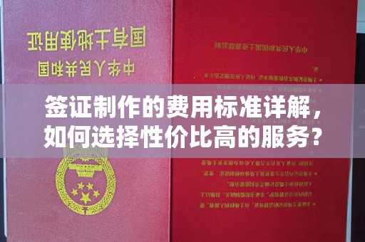 都安签证制作的费用标准详解，如何选择性价比高的服务？